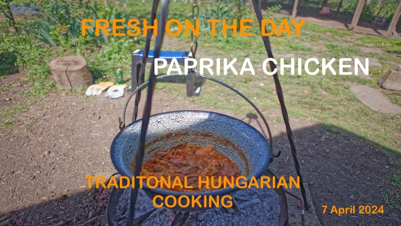 Traditional  Hungarian Paprika  Chicken
