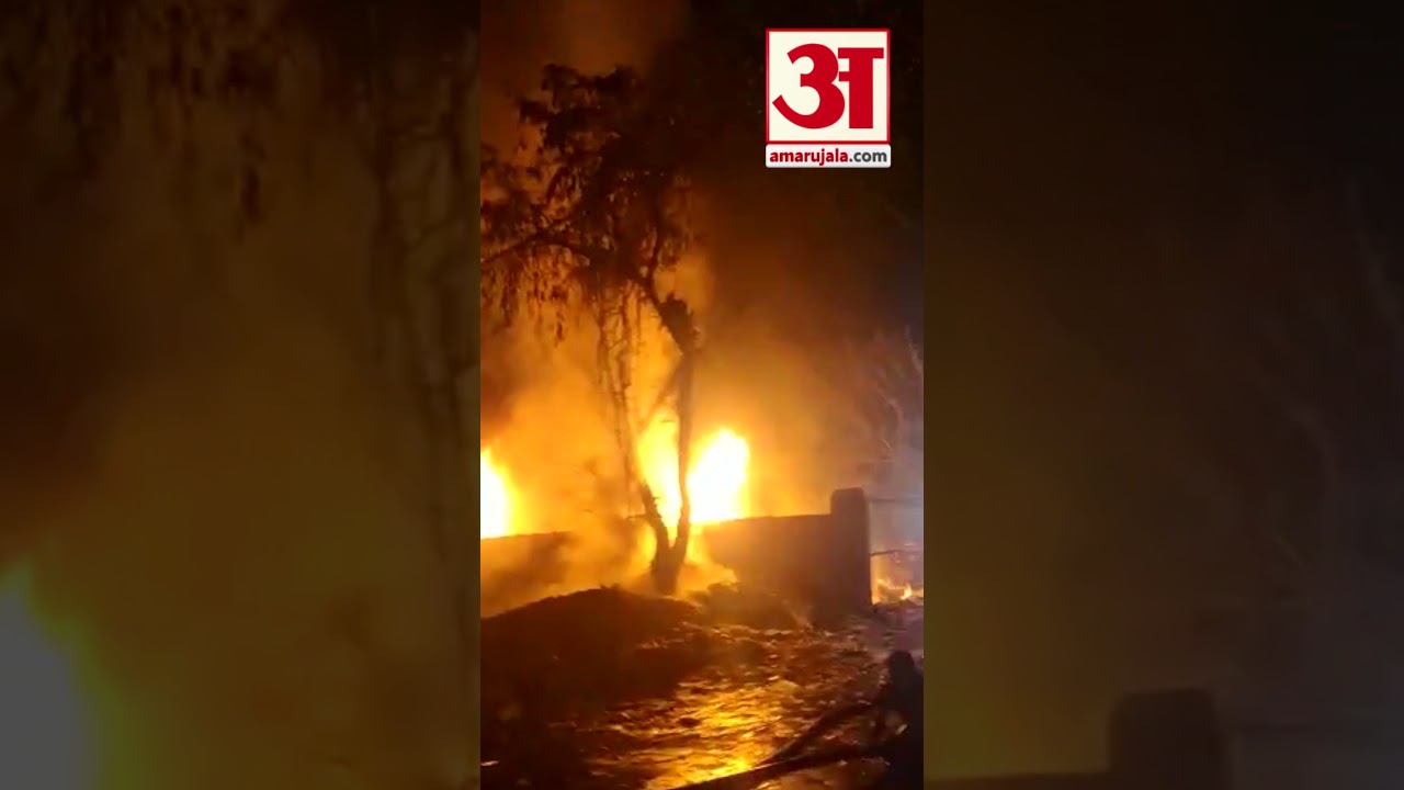 Fire In Rewari Junk Godown Goods Worth Lakhs Burnt|कबाड़ गोदाम में लगी आग,झुग्गियां भी चपेट में आई