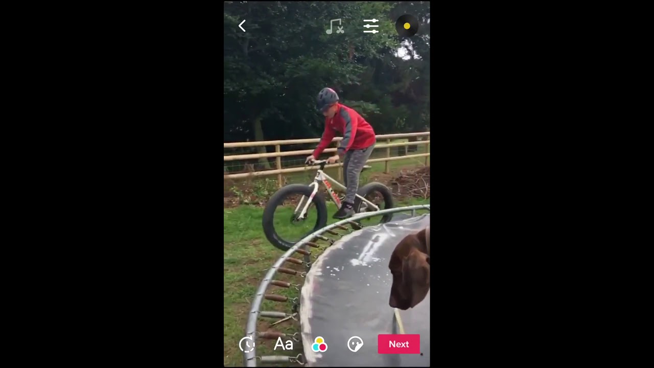 Bike jumps