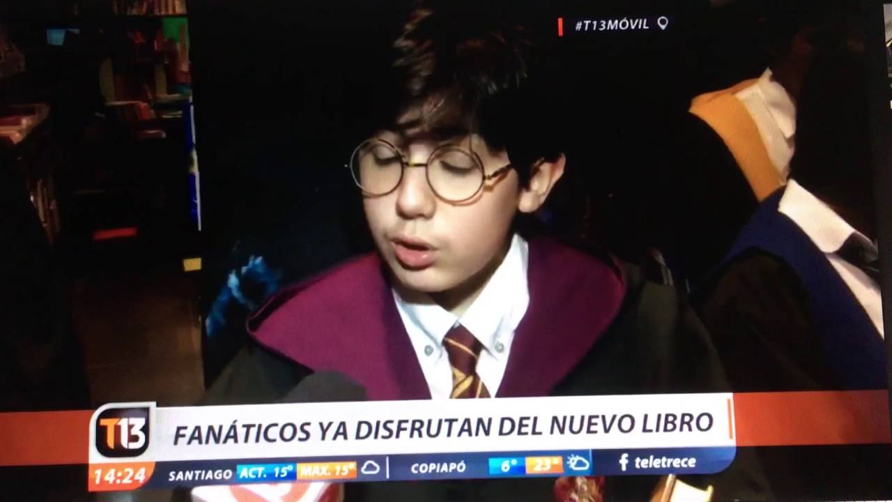 Potter chileno