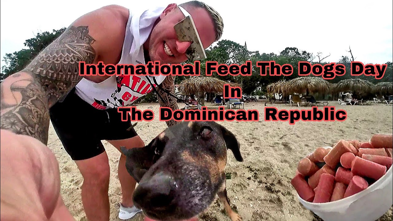 Costambar Puerto Plata Dominican  Republic Most Beautiful Private Beach Feeding Some Hungry Dogs