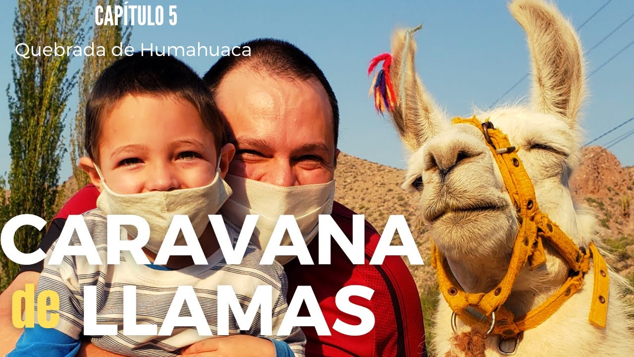 Salimos de CARAVANA de LLAMAS - TILCARA 🏃 Juntos en familia!!!