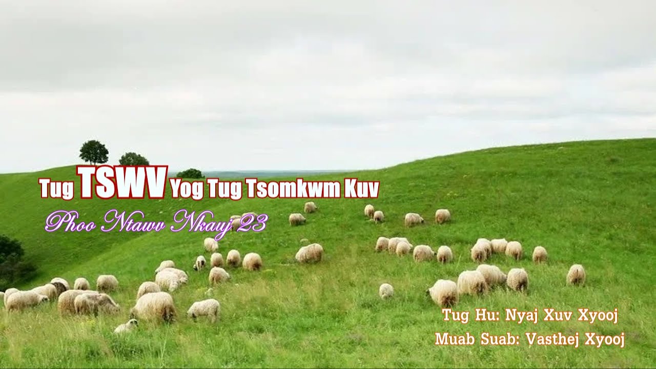 Tug TSWV Yog Tug Tsomkwm Kuv - Nyaj Xuv Xyooj