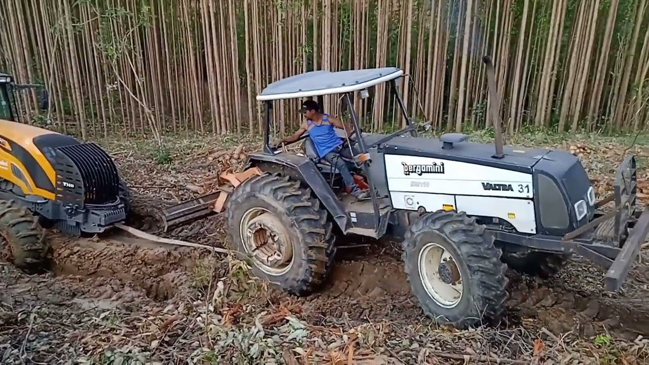 valtra BH 194 teve q ser rebocado, mina de água no meio do quadro de eucalipto
