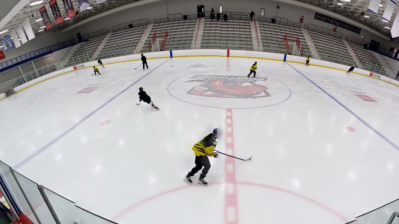Team Elite Hockey 1-1/2 hour training session breakdown  3-8-26