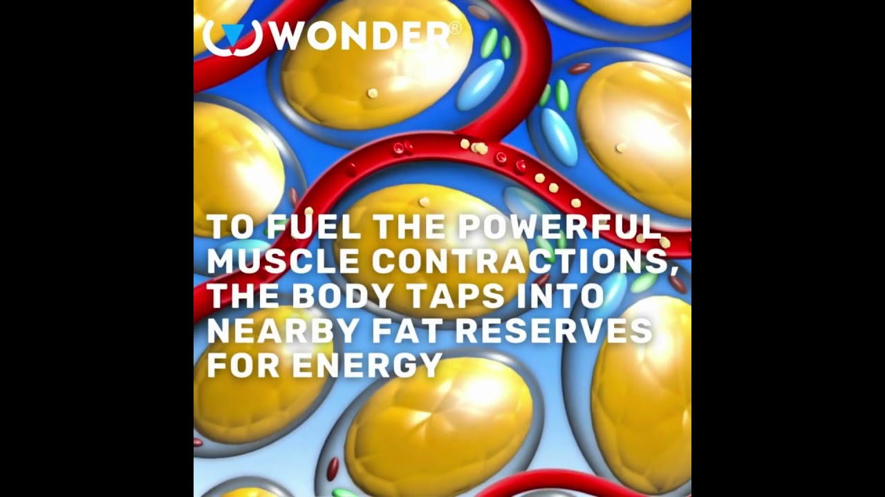 The Science behind Wonder Axon