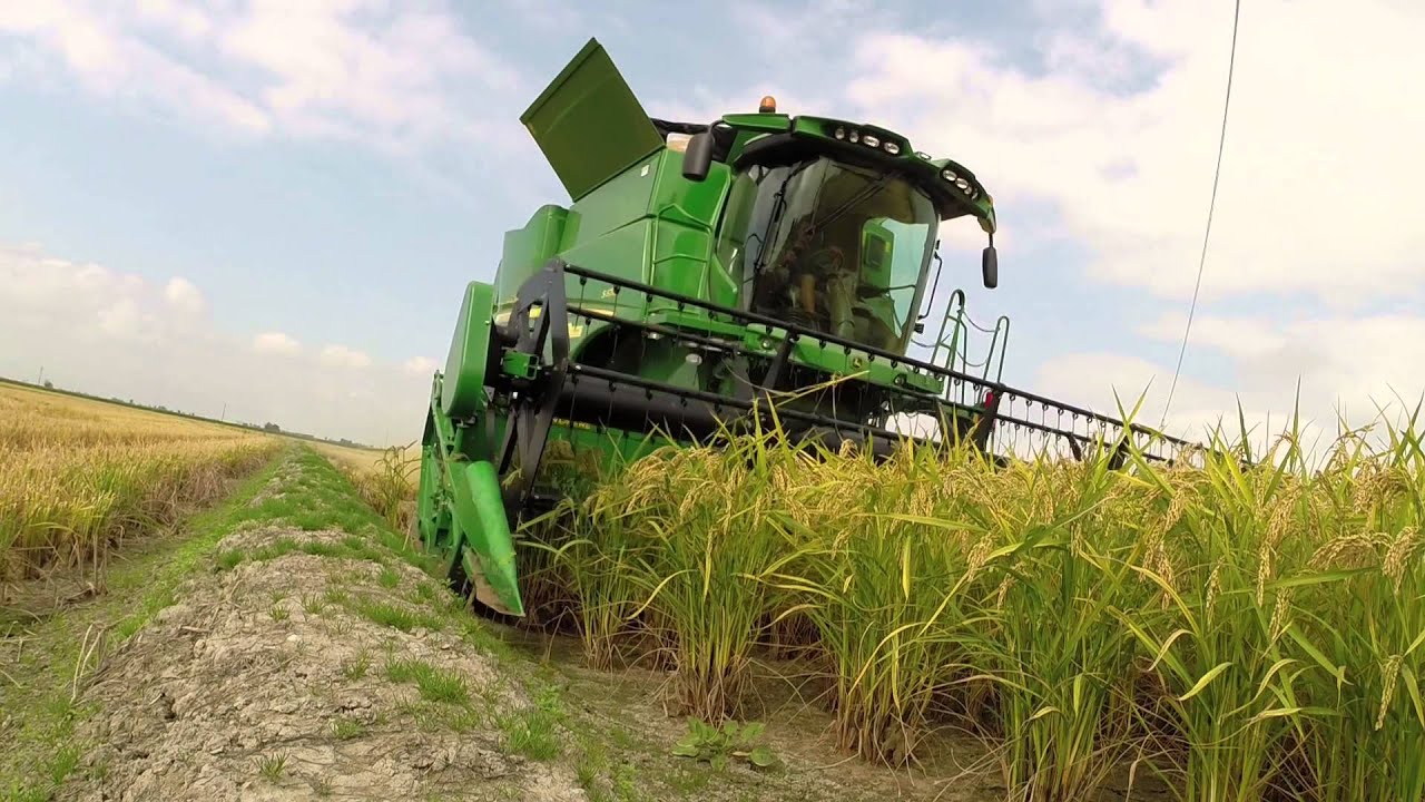 Raccolta Riso 2014. John Deere S670i 622R Sabatino