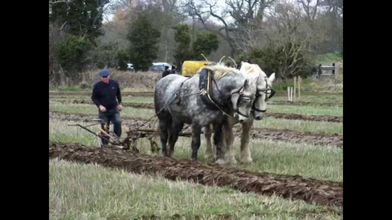 Mullahead Ploughing Match 2015 photos