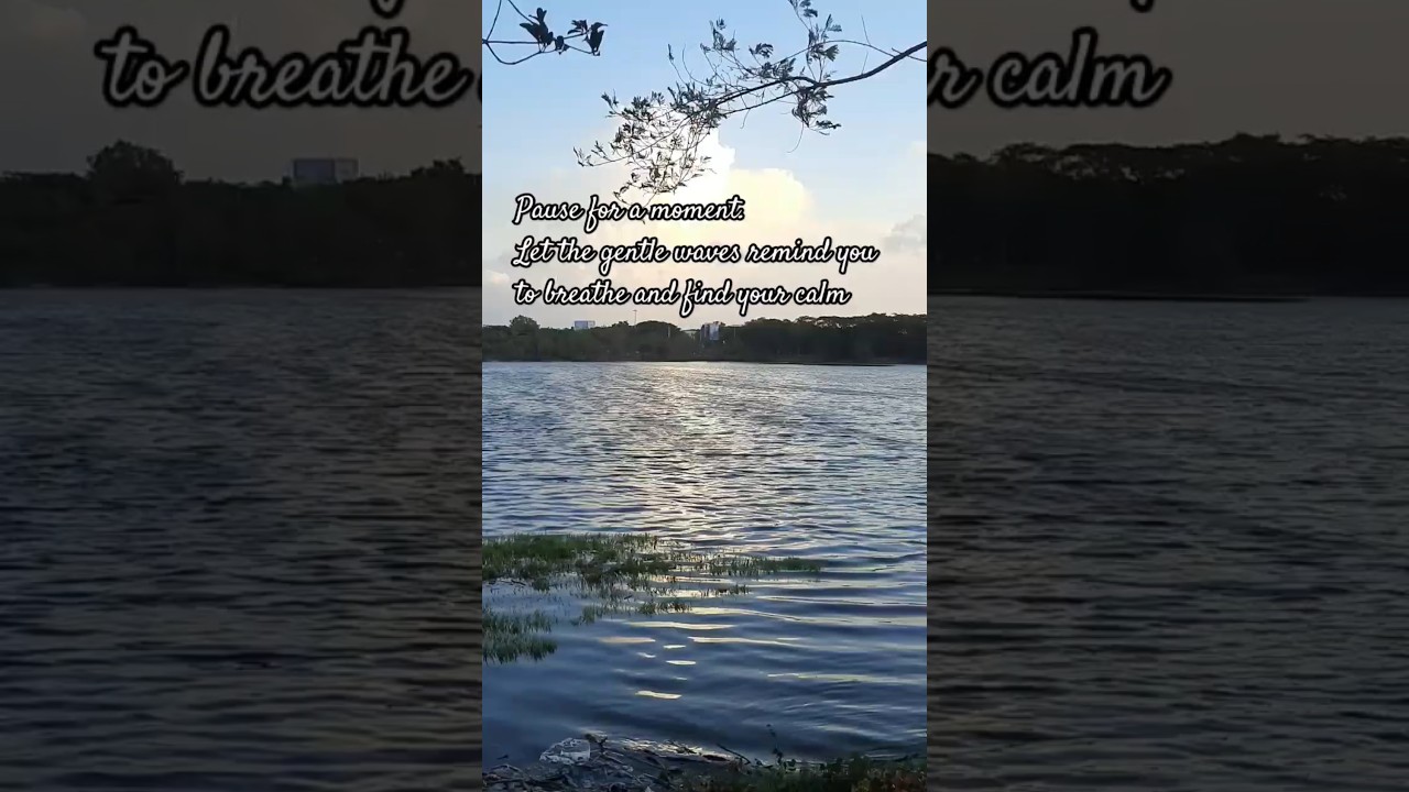 Serene Lake View: Tranquil Nature Escape with Gentle Waves & Trees