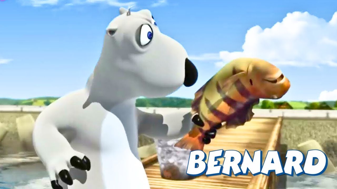 🐻‍❄️ Bernard’s Big Catch! 😱 Will He Eat the Fish?! | Full Episodes | VIDEOS and CARTOONS FOR KIDS