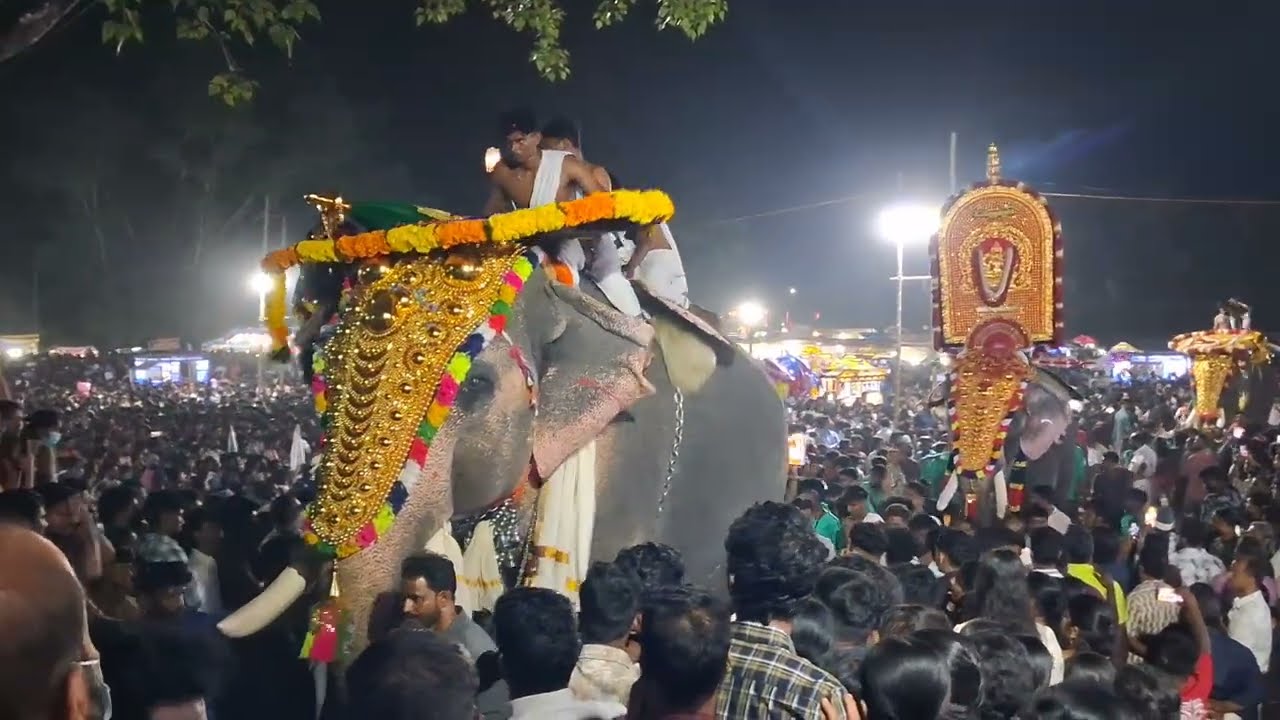 Kerala പാലക്കാട് ആനക്കര പൂരം 2026 pooram 