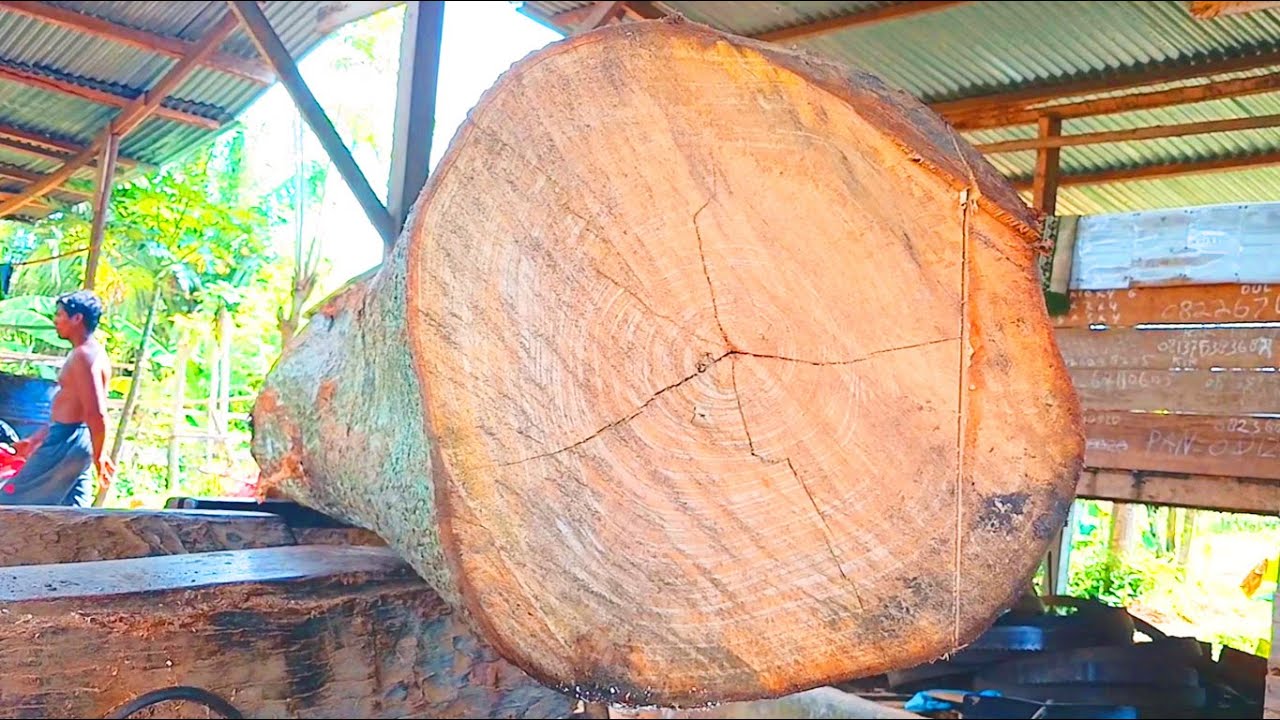 The Best Quality Large Sawmills Exposed: The Secrets You Need to Know