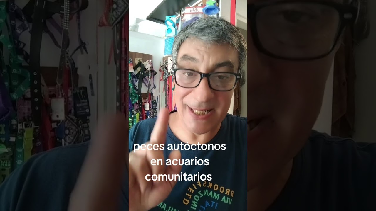 23 de enero de 2026