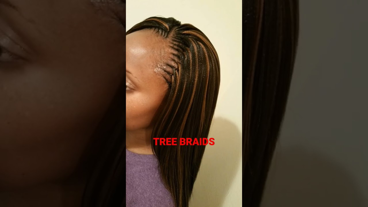 Tree braids with highlights color