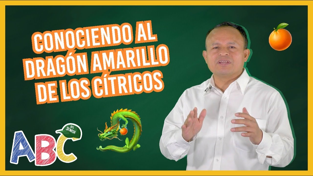 #ABCDelSenasa| Conociendo al Dragón Amarillo de los cítricos