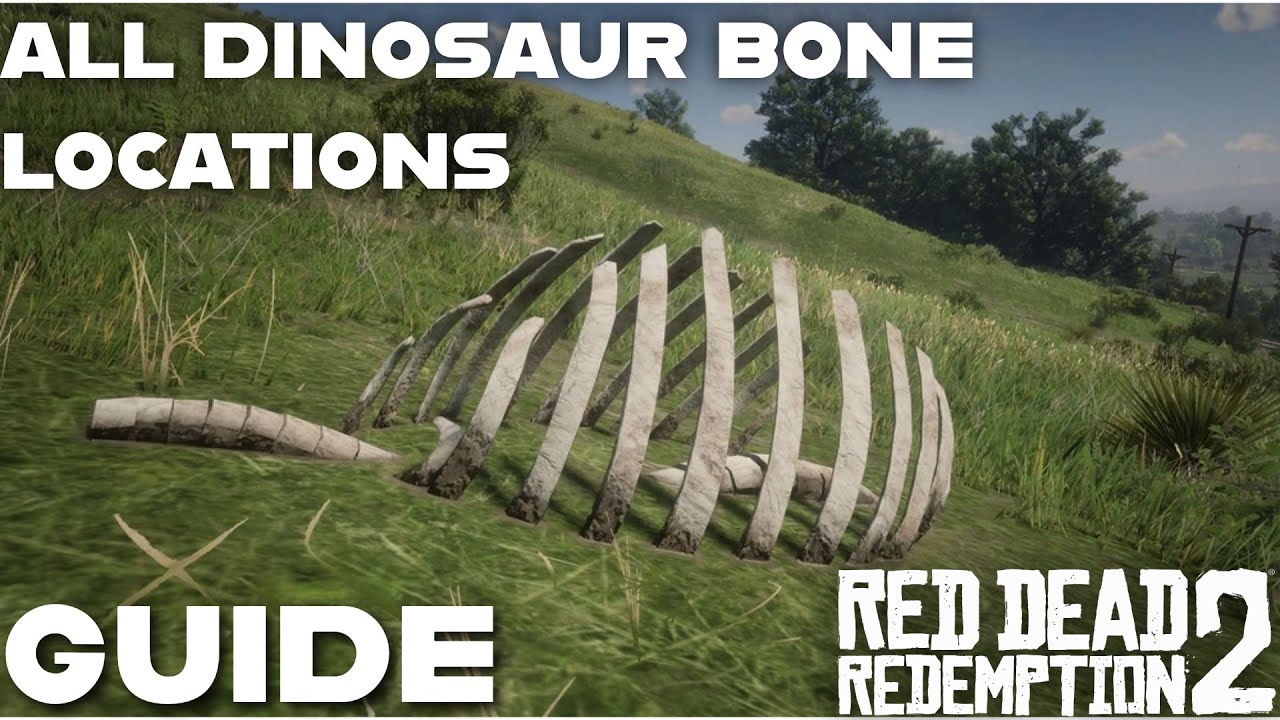 Путеводитель по RDR2 &mdash; все места нахождения костей динозавров