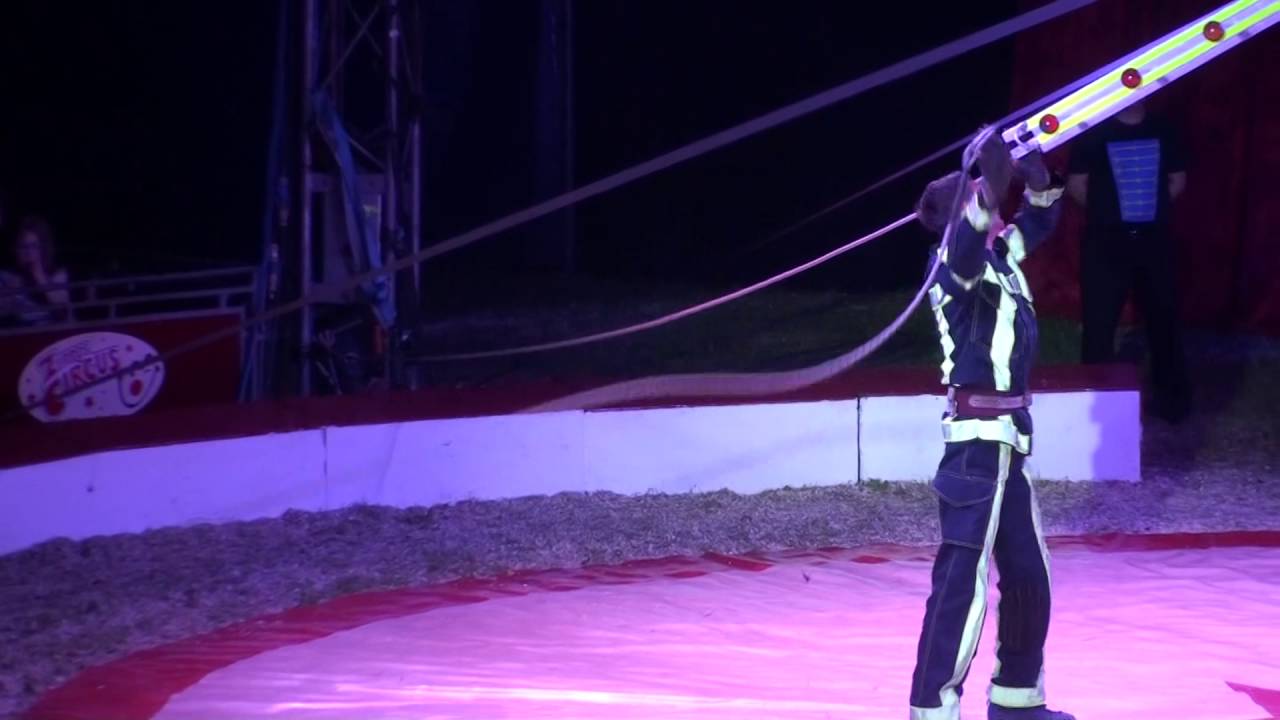 Alex The Fireman Zippos Circus