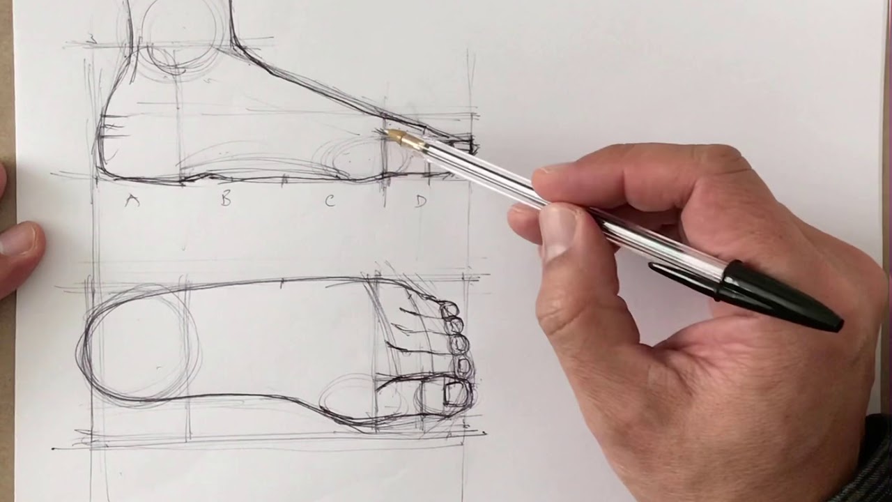 VIDEO 50. DIBUJO DE ESTRUCTURA DEL PIE.