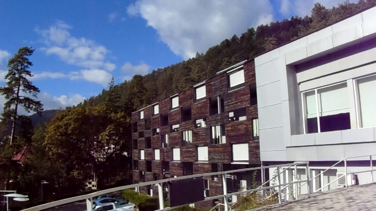 Time Lapse &bull; Borjomi-Kharagauli National Park Administration