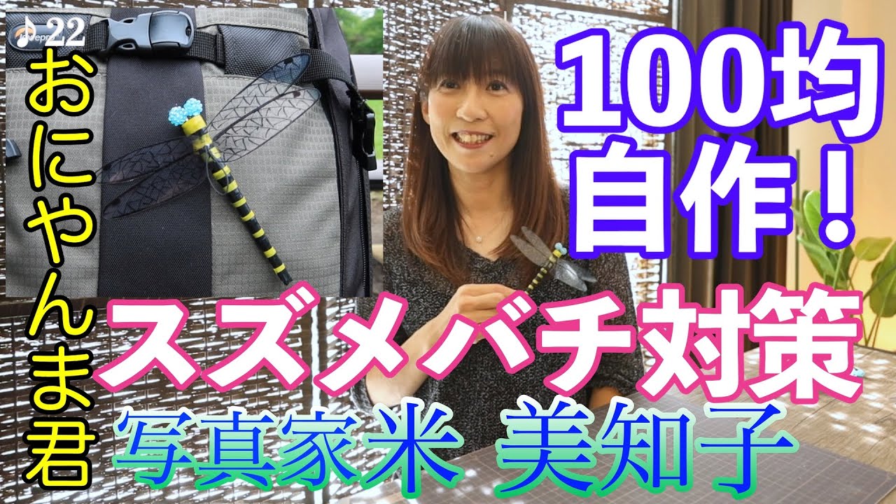 【おにやんま君】100均DIYでおにやんま君を自作しました！夏休みの自由研究！？