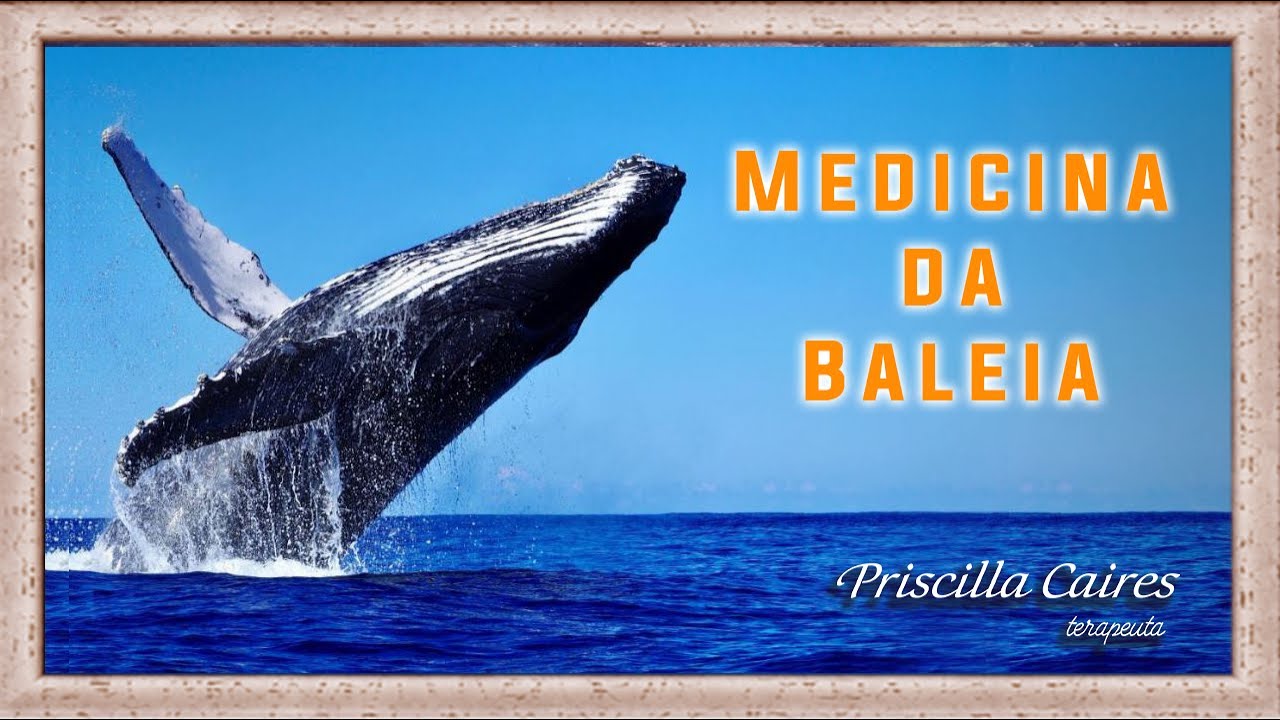 Medicina e meditação do arquétipo animal de poder baleia