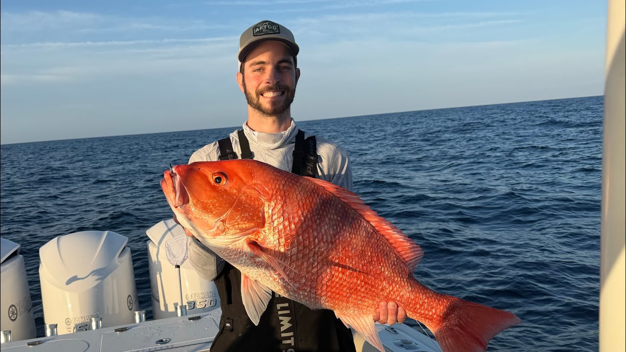 Fishing Port Canaveral: SNAPPER, AMBERJACK, GOLDEN TILEFISH! #fishing #trending #foryou #outdoors 