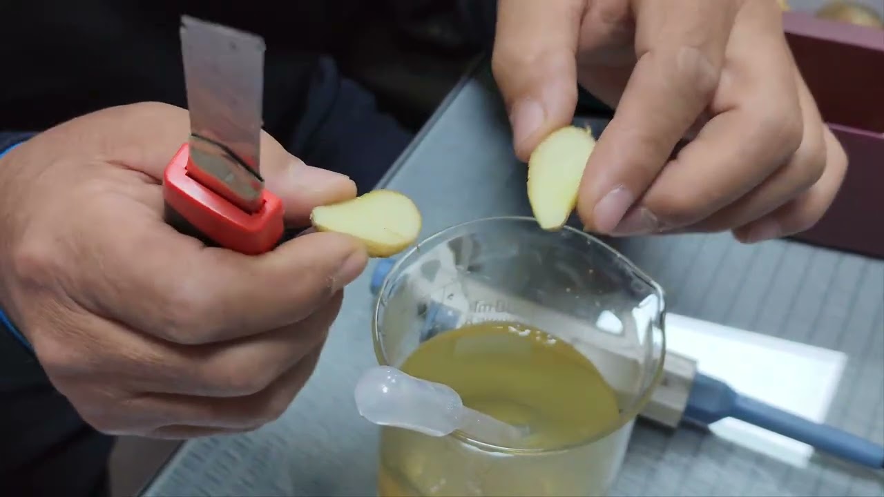 씨감자 절단법 씨감자 쪼개기 소독방