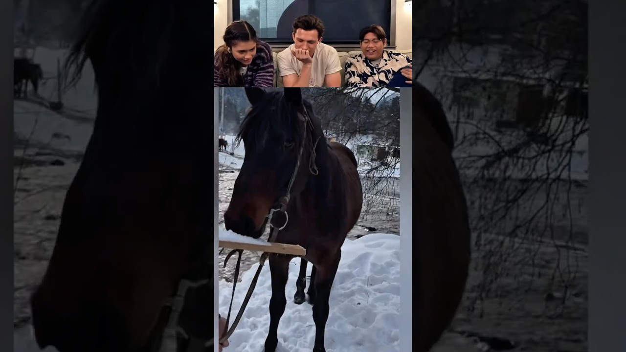 Tom Holland React Viral Videos part 32#tomholland #funny  #trynottolaugh  #reactionvideo