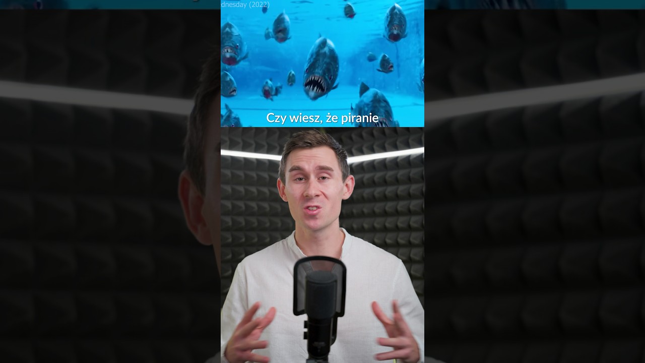 Piranie nie są takie straszne
