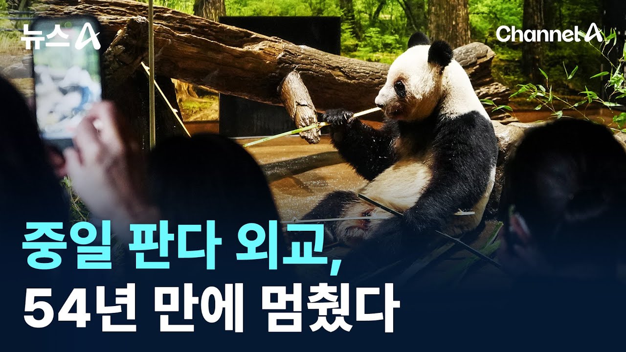 중일 판다 외교, 54년 만에 멈췄다 / 채널A / 뉴스A