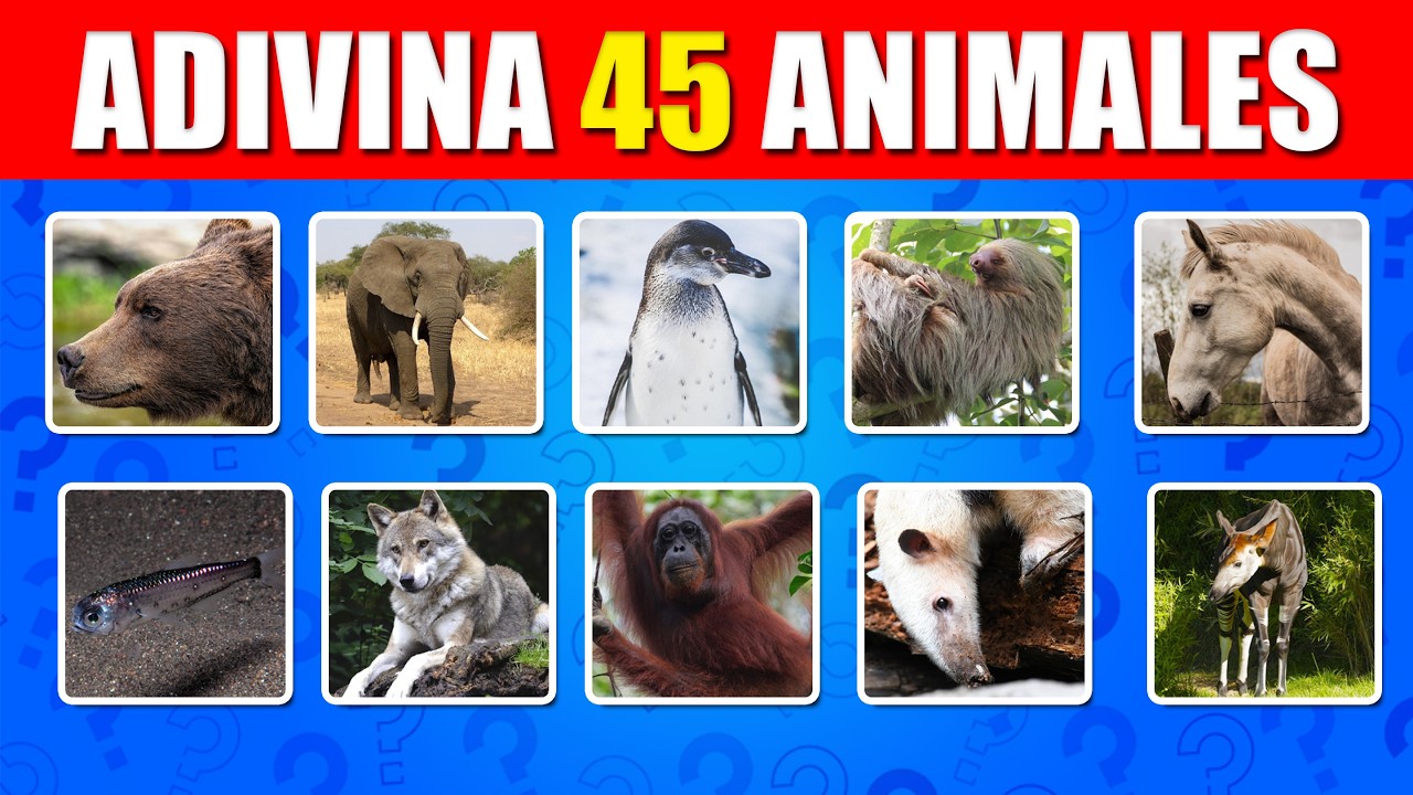 Adivina 120 ANIMALES en 4 Segundos⏱️Gato🐈Perro🐕Vaca🐄Adivina el nombre del animal❤️