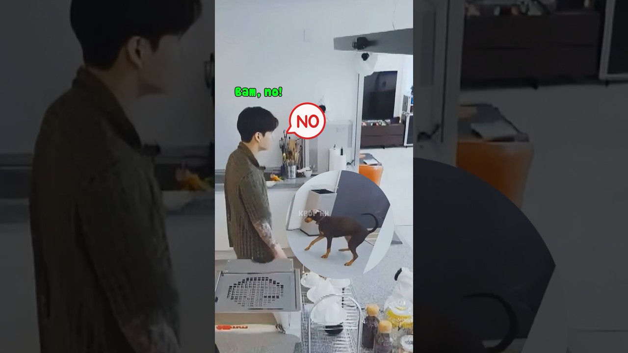 Jungkook's Reaction When Jeon Bam Pooped In The Kitchen 😂😂 #shorts #jungkook #bam #bts