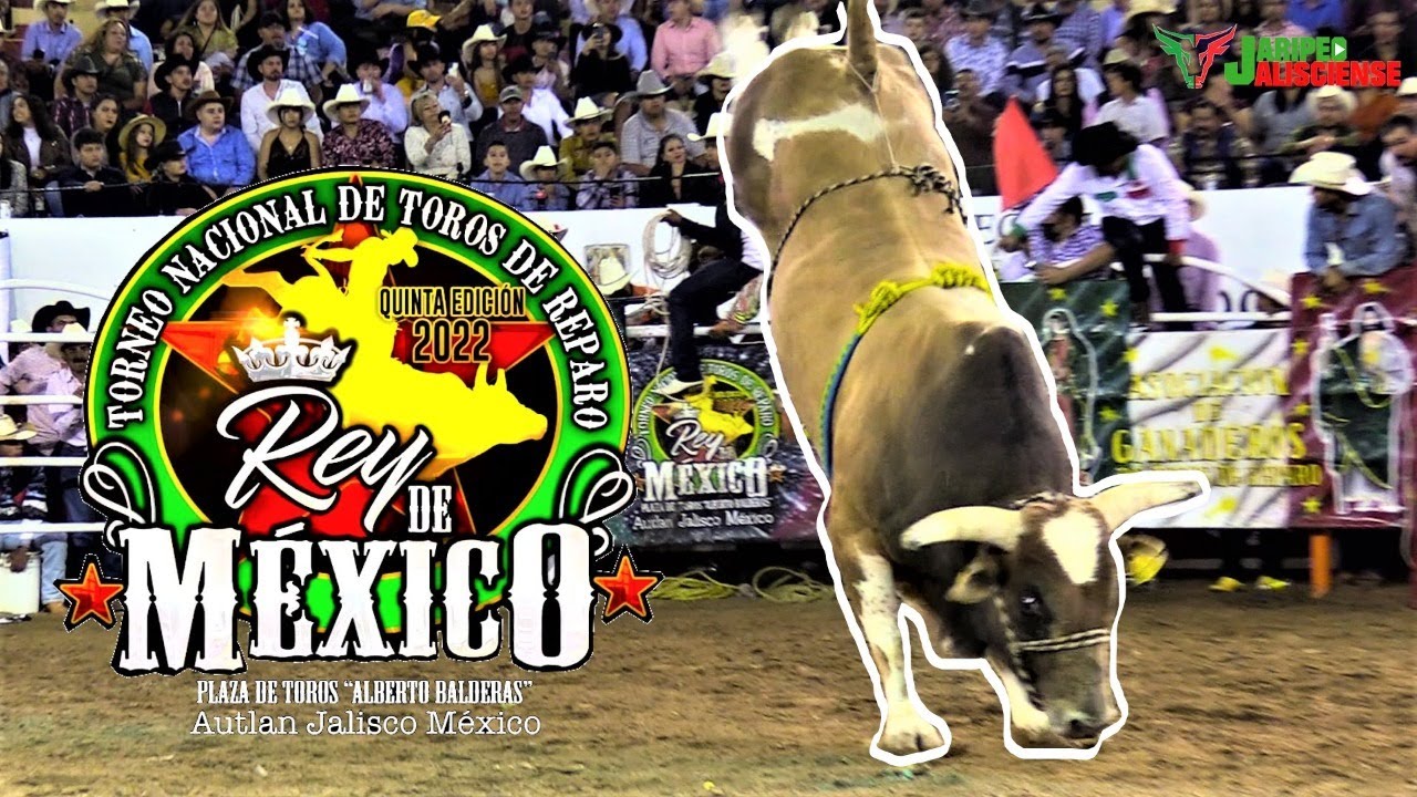¡EL MAS IMPORTANTE DE MÉXICO! TORNEO NACIONAL DE TOROS DE REPARO REY DE MÉXICO 2022