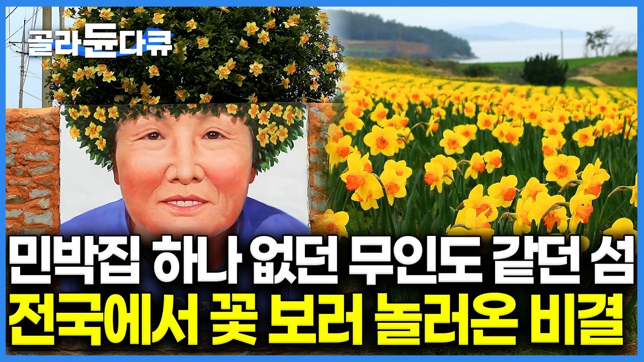 배 끊기던 조용한 섬마을의 반전 🌼  허허벌판 땅에 조금씩 수선화 심던 할머니 덕분에 봄이면 섬이 북적이는 이유｜166가구 작은 섬 신안 선도｜한국기행｜#골라듄다큐