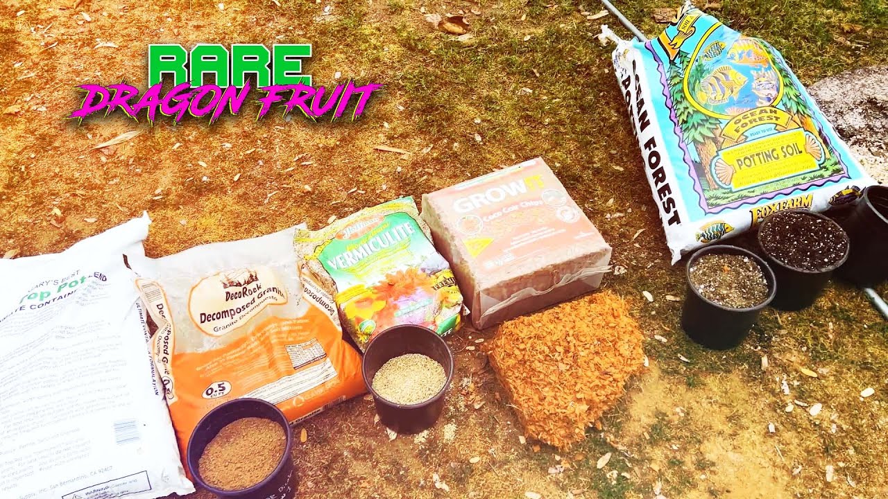 ANSWERING QUESTONS about DRAGON FRUIT SOIL / REVISIONS /  What I LEARNED from Gary Matsuoka