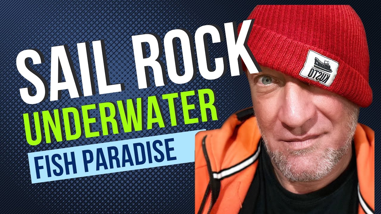 Underwater World of Sail Rock Gulf of Thailand : Episode 30 May 2024