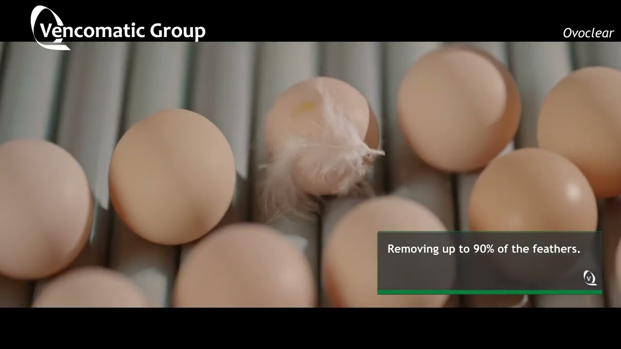 Vencomatic Group: Prinzen - Ovoclear