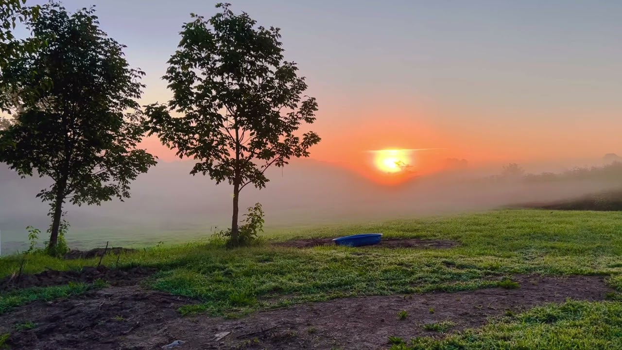 Good morning America! Beautiful misty sunrise! || Nature sounds || ASMR￼