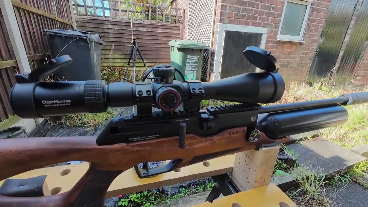 Webley Eagle - Best Pellets ? #target #shoot #sports