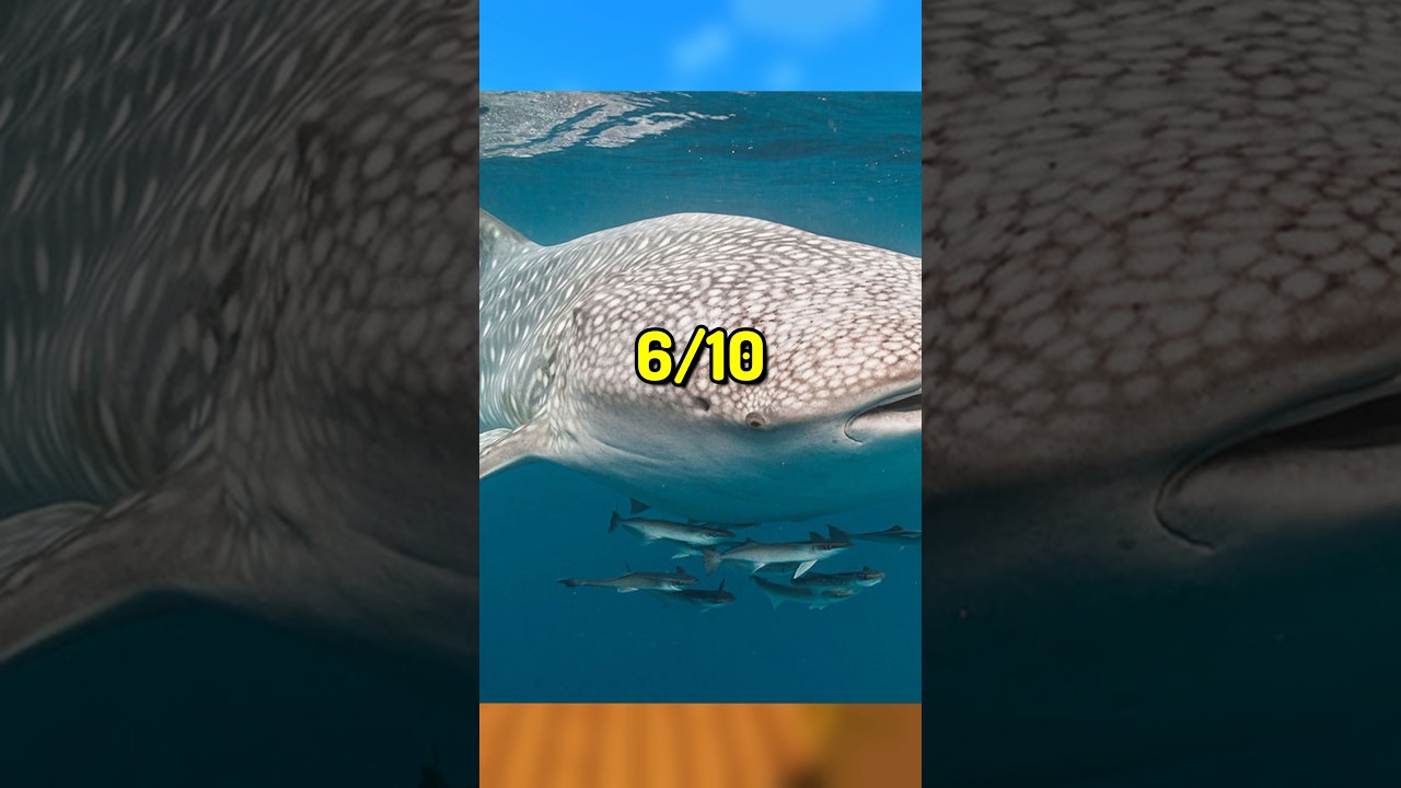 Most MAJESTIC Animals&hellip;