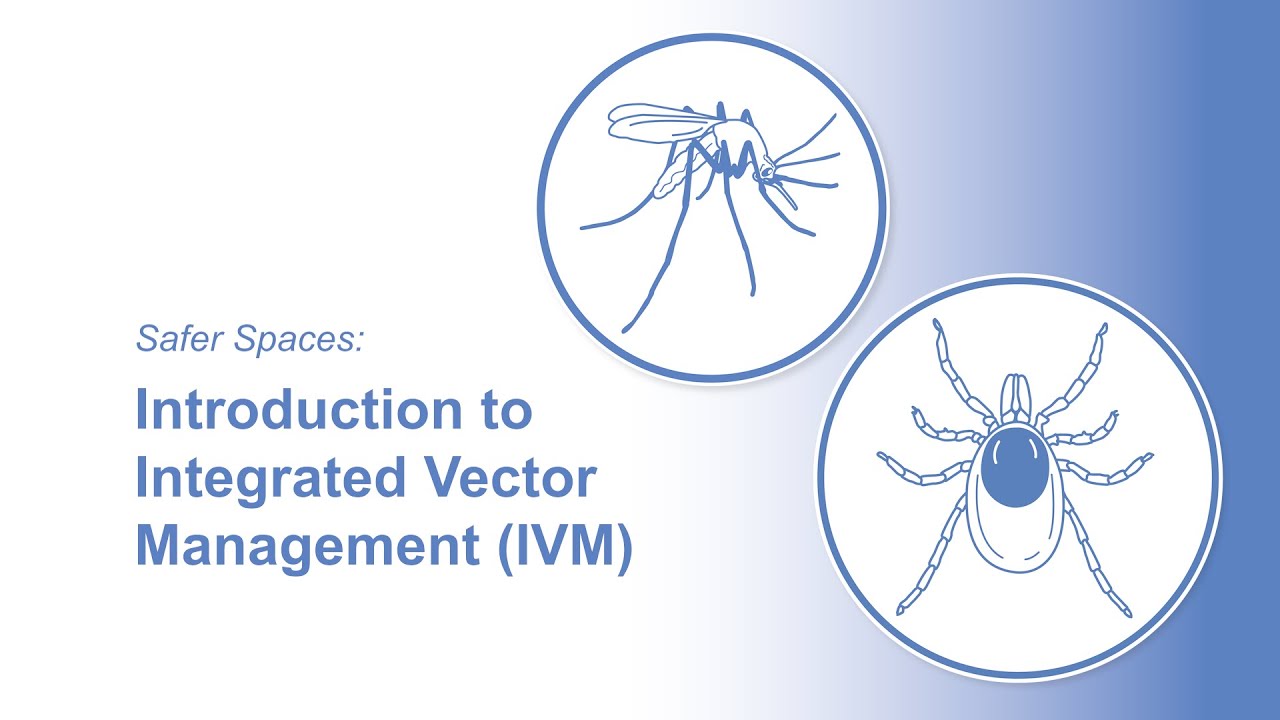 Safer Spaces: Introduction to Integrated Vector Management (IVM)