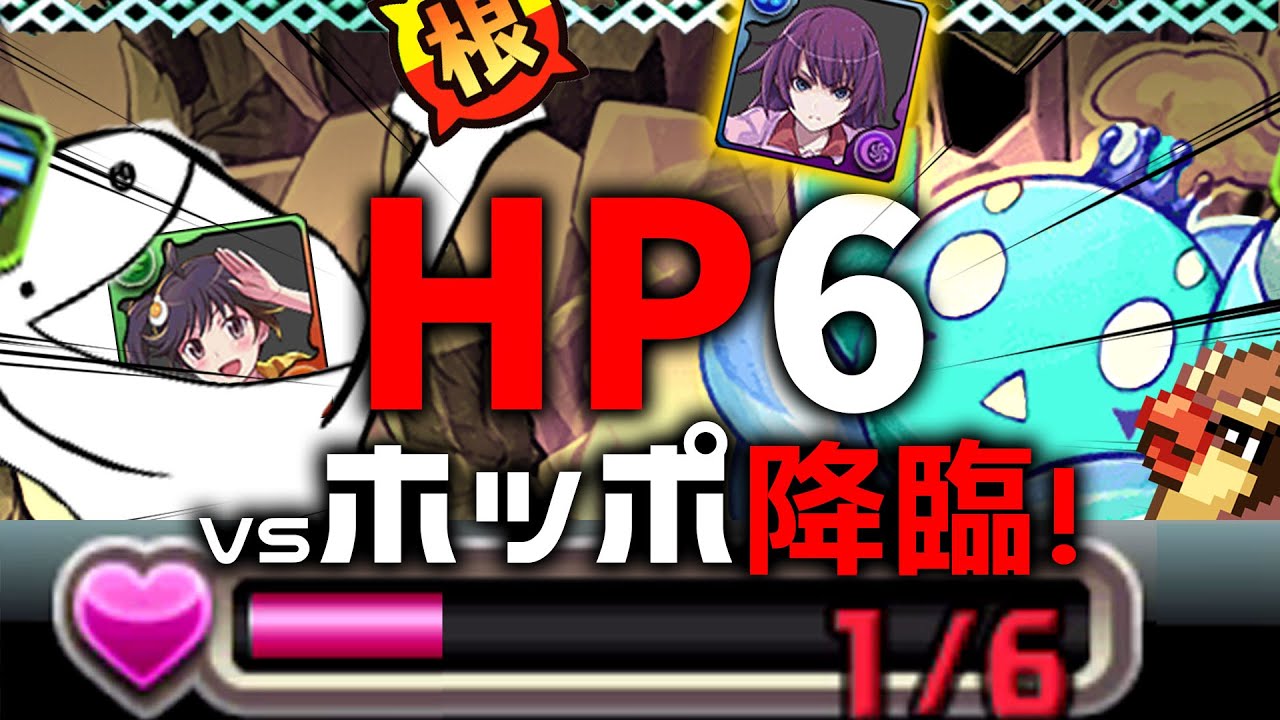HP6だけでホッポ降臨をぶっ潰す！【パズドラ 阿良々木火憐】