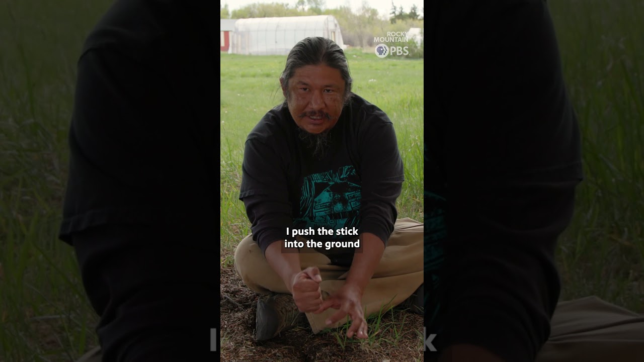 Blue corn and old stories