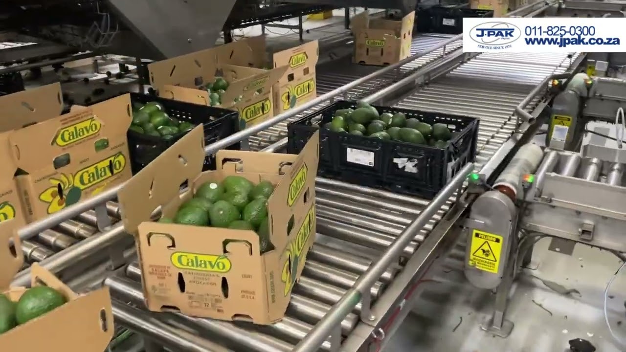 A Series D43 labeling crates of avocados at Calavo with L50 mark seen on carton