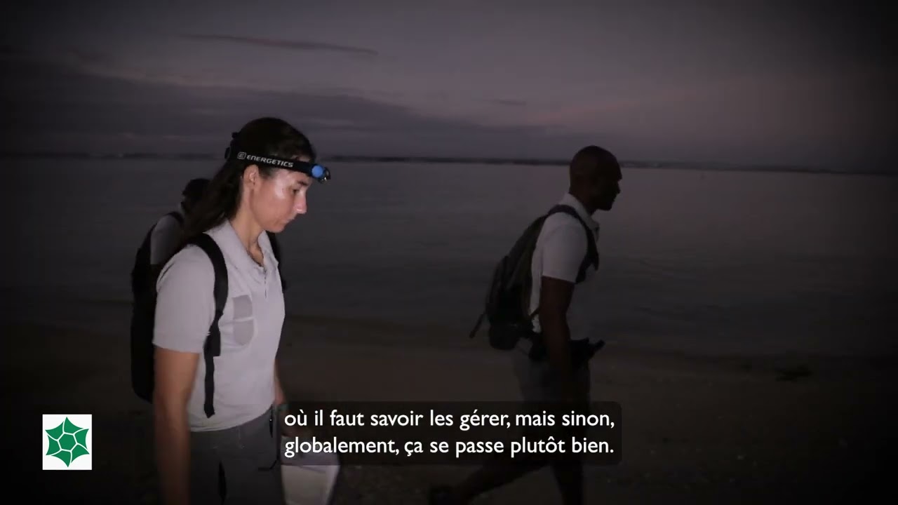 Suivis Capucins {Vidéo financée par l'Europe, le FEDER, la Région Réunion et l'Etat}