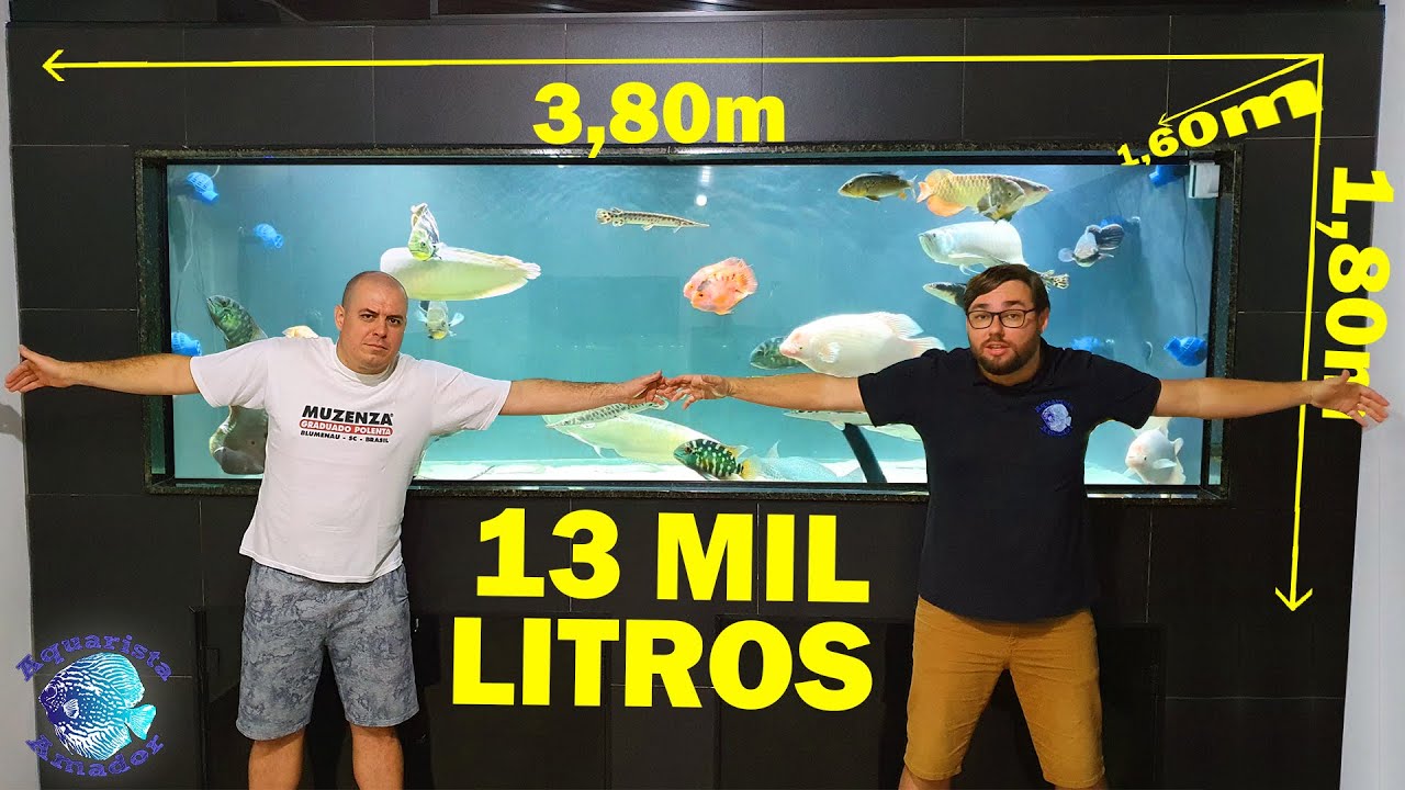 AQUÁRIO JUMBO DE 13 MIL LITROS COM 4 ARUANÃS