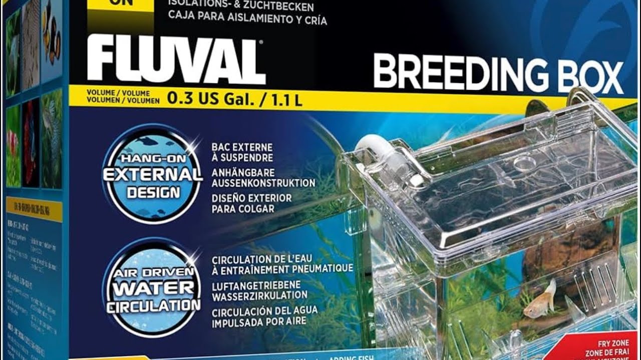 Fluval breeder box review!