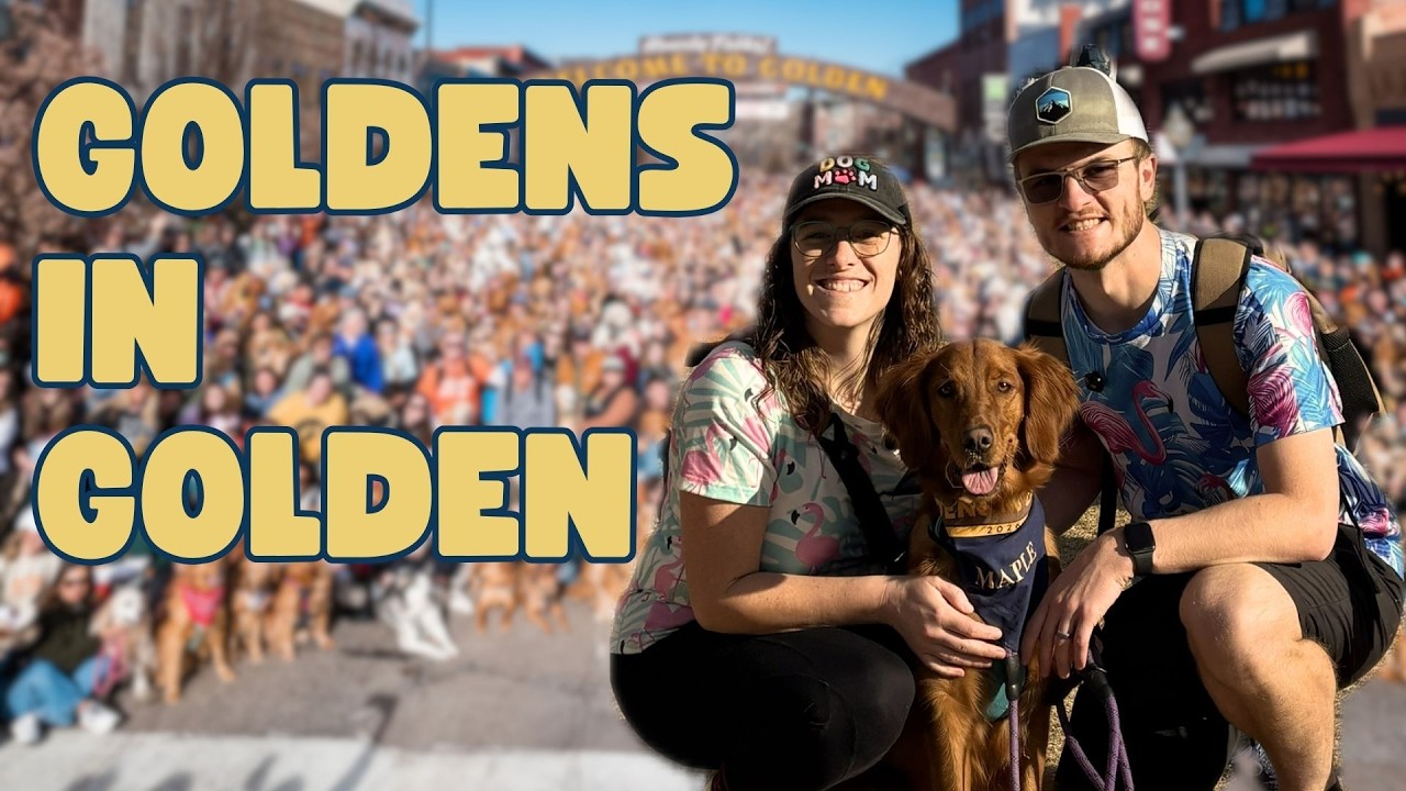 Maple Goes to Goldens in Golden 2026!