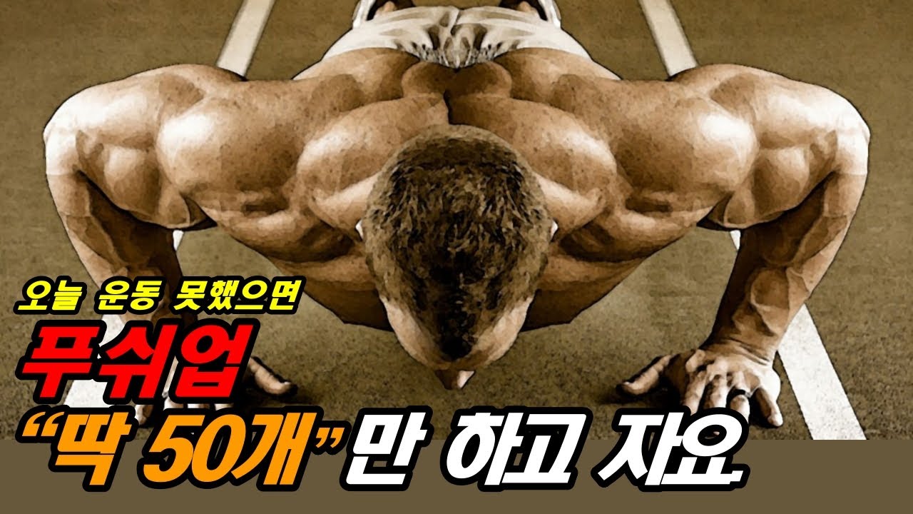 푸쉬업을 반드시 해야 하는 이유와 정확한 자세