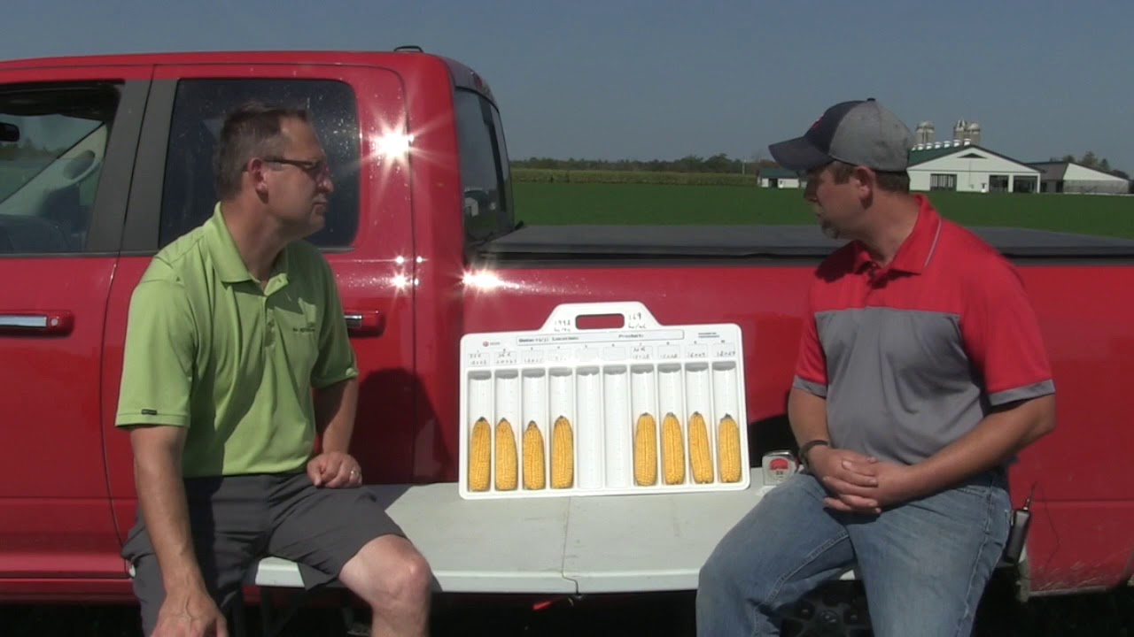 Corn School: Comparing fixed vs. flex hybrids